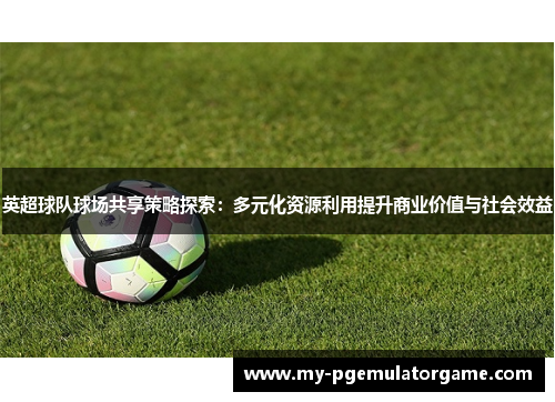 英超球队球场共享策略探索：多元化资源利用提升商业价值与社会效益