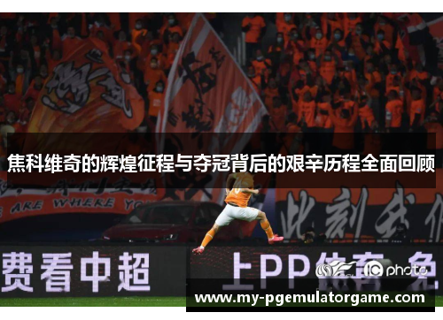 焦科维奇的辉煌征程与夺冠背后的艰辛历程全面回顾