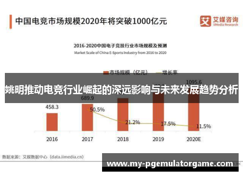 姚明推动电竞行业崛起的深远影响与未来发展趋势分析