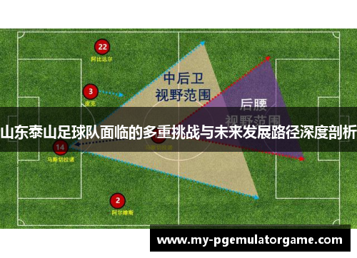 山东泰山足球队面临的多重挑战与未来发展路径深度剖析