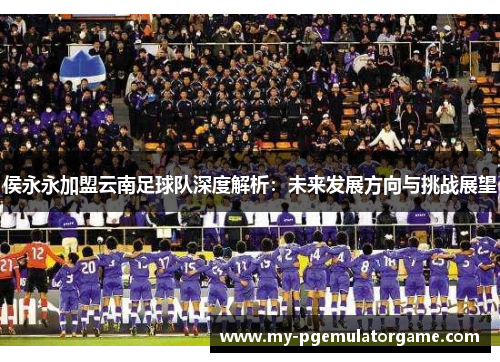 侯永永加盟云南足球队深度解析：未来发展方向与挑战展望