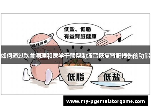 如何通过饮食调理和医学干预帮助波普恢复肾脏损伤的功能