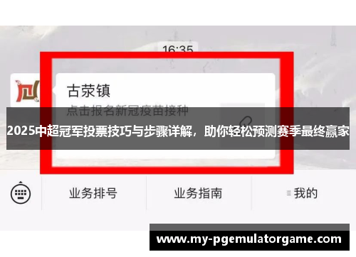 2025中超冠军投票技巧与步骤详解，助你轻松预测赛季最终赢家