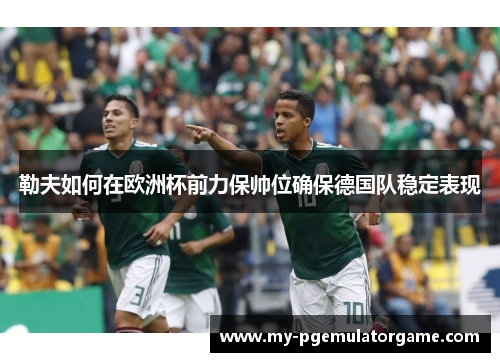 勒夫如何在欧洲杯前力保帅位确保德国队稳定表现