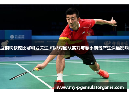 武桐桐缺席比赛引发关注 可能对团队实力与赛季前景产生深远影响