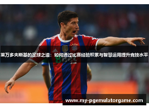莱万多夫斯基的足球之道：如何通过比赛经验积累与智慧运用提升竞技水平
