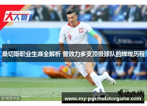 桑切斯职业生涯全解析 曾效力多支顶级球队的辉煌历程 桑切斯职业生涯全解析 曾效力多支顶级球队的辉煌历程