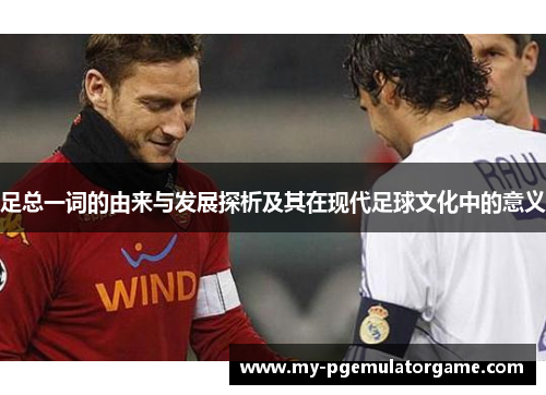 足总一词的由来与发展探析及其在现代足球文化中的意义