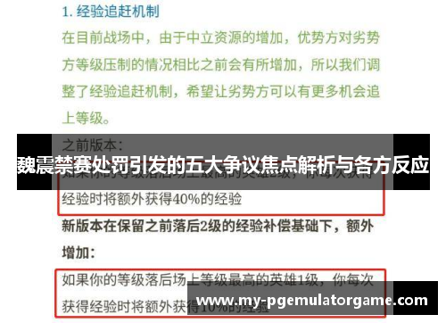 魏震禁赛处罚引发的五大争议焦点解析与各方反应
