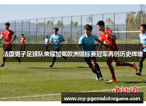 法国男子足球队荣耀加冕欧洲锦标赛冠军再创历史辉煌